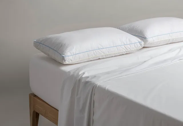 colmol-oreiller-kapok-coussin-70x50cm-100-kapok image 1