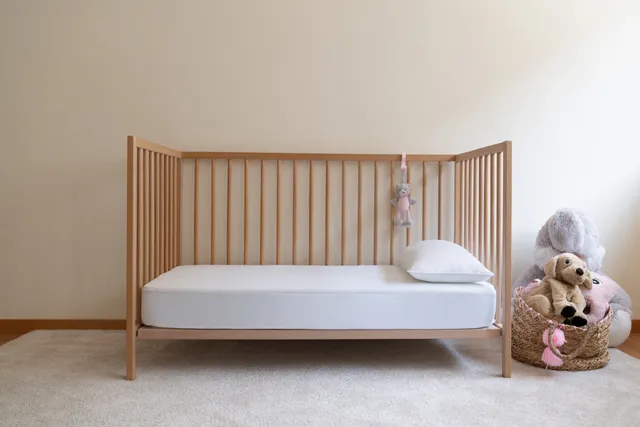 colmol-prot-ge-matelas-b-b-imperm-able-aloe-vera-60x120cm image 1