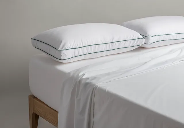 colmol-coussins-oreiller-acarsan-oreiller-70x50cm-anti-acariens image 1