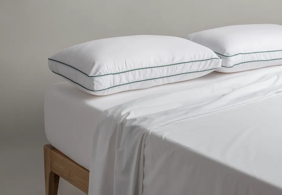 colmol-coussins-oreiller-acarsan-oreiller-70x50cm-anti-acariens image 1