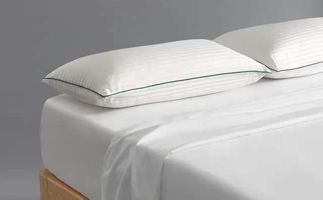 colmol-coussins-acarsan-oreiller-anti-acariens-70x50-cm image 1