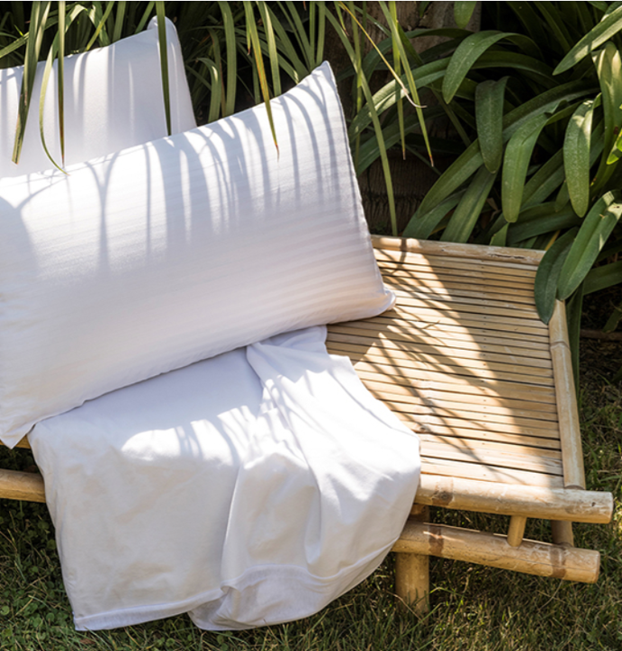 colmol-protecteurs-aloe-vera-prot-ge-matelas-50x70-cm image 2